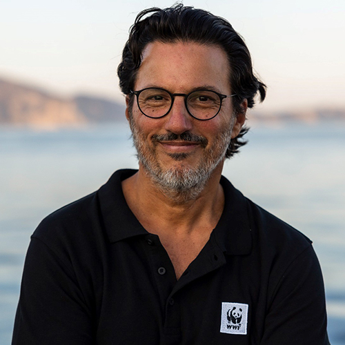 Demetres Karavellas